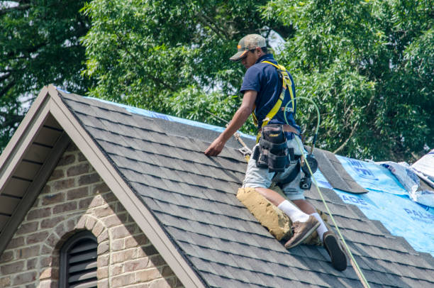 Best New Roof Installation  in Medina, TN