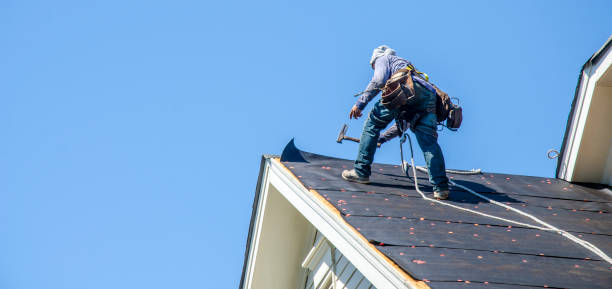 Best Storm Damage Roof Repair  in Medina, TN